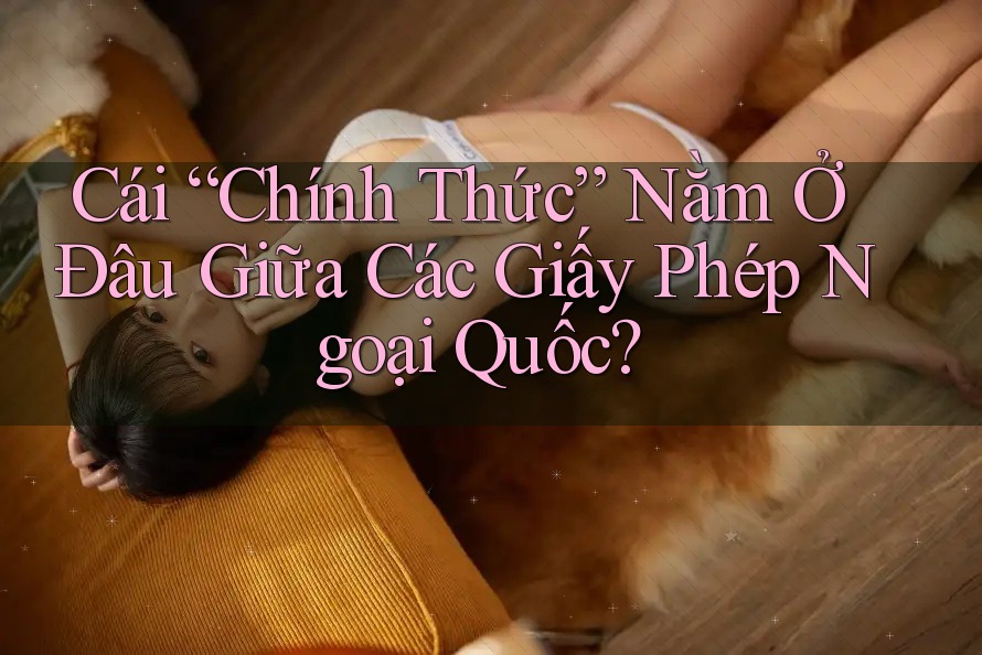 Cái “Chính Thức” Nằm Ở Đâu Giữa Các Giấy Phép Ngoại Quốc? Cái “Chính Thức” Nằm Ở Đâu Giữa Các Giấy Phép Ngoại Quốc?