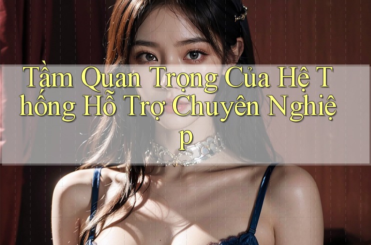Tầm Quan Trọng Của Hệ Thống Hỗ Trợ Chuyên Nghiệp Tầm Quan Trọng Của Hệ Thống Hỗ Trợ Chuyên Nghiệp